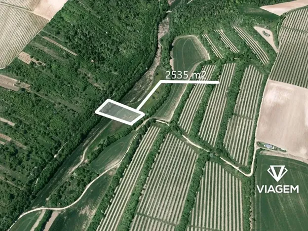 Prodej pole, Žarošice, 2535 m2