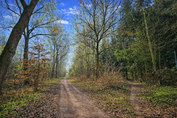 Prodej pozemku, 9079 m2