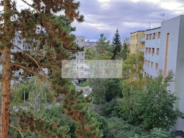 Pronájem bytu 2+kk, Praha - Nusle, U družstva Život, 60 m2