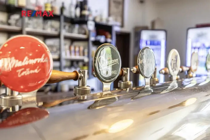 Prodej obchodního prostoru, Čelákovice, Rumunská, 794 m2