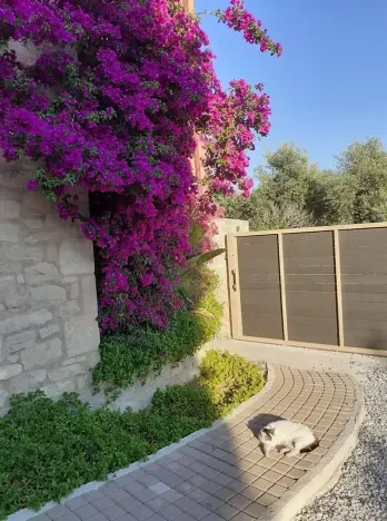 Prodej rodinného domu, Roustika, Řecko, 322 m2