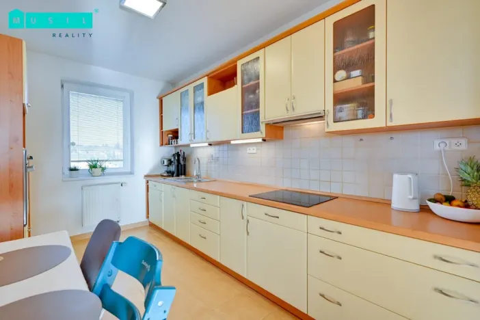 Prodej bytu 3+kk, Olomouc - Nová Ulice, Horní lán, 91 m2