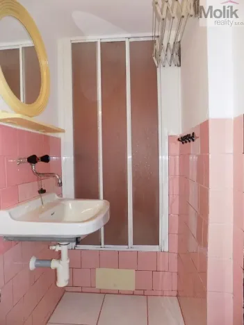 Prodej bytu 2+1, Děčín - Děčín IV-Podmokly, Teplická, 61 m2