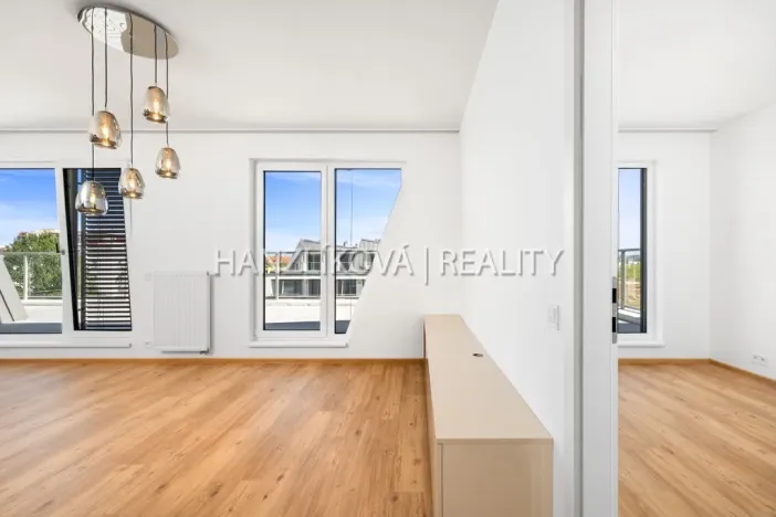 Pronájem bytu 3+kk, České Budějovice - České Budějovice 2, Branišovská, 80 m2