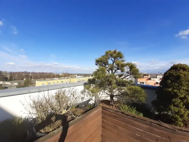 Pronájem bytu 2+kk, Olomouc - Nová Ulice, Okružní, 61 m2