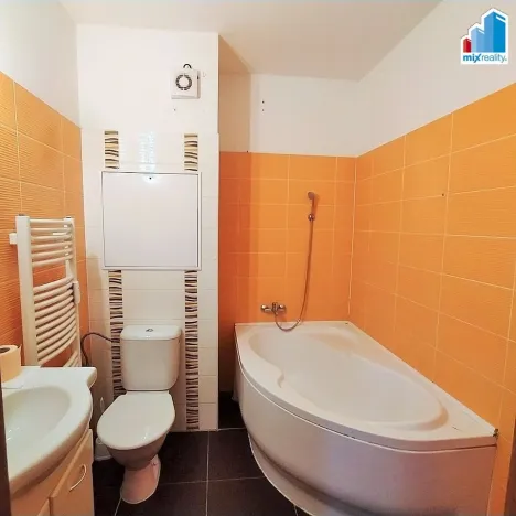 Pronájem bytu 2+kk, Plzeň - Východní Předměstí, Květná, 47 m2