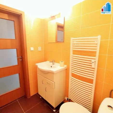 Pronájem bytu 2+kk, Plzeň - Východní Předměstí, Květná, 47 m2