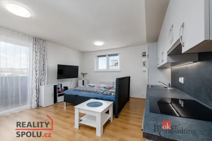 Pronájem bytu 1+kk, Heřmanova Huť - Vlkýš, U Pondu, 40 m2