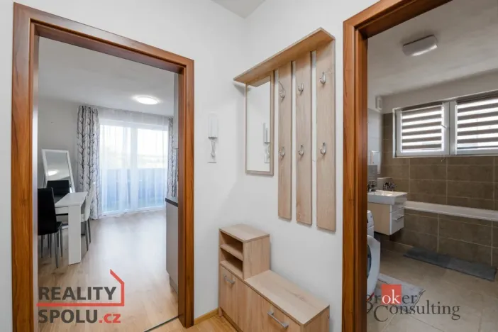 Pronájem bytu 1+kk, Heřmanova Huť - Vlkýš, U Pondu, 40 m2