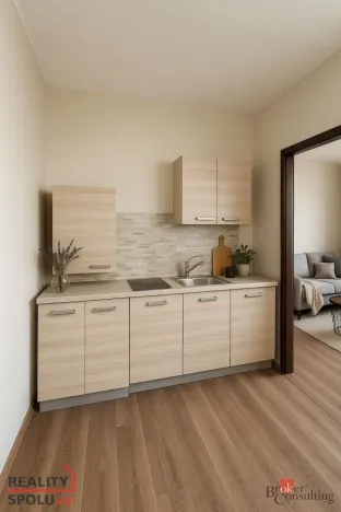 Prodej bytu 1+1, Ostrava - Slezská Ostrava, Bohumínská, 25 m2