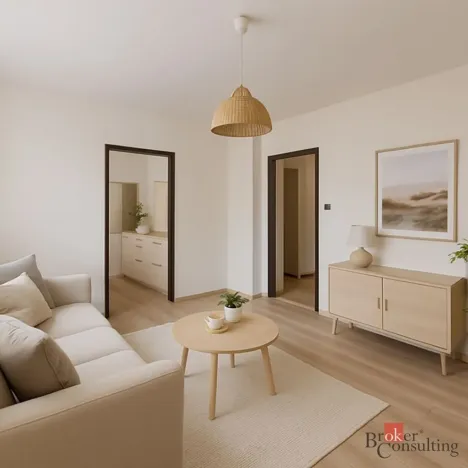 Prodej bytu 1+1, Ostrava - Slezská Ostrava, Bohumínská, 25 m2