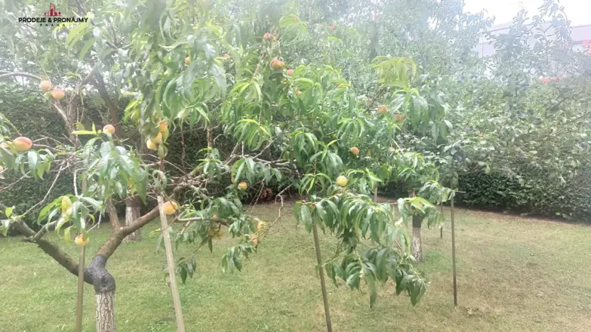 Prodej vily, Praha, 243 m2