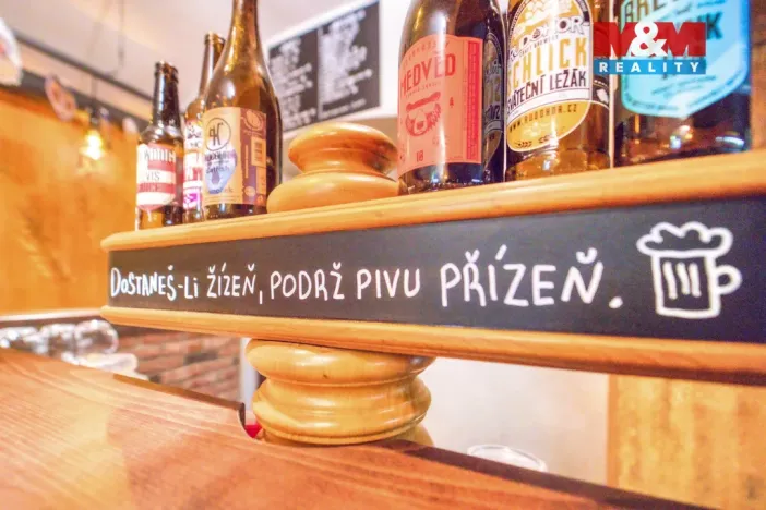 Pronájem obchodního prostoru, Plzeň - Jižní Předměstí, Americká, 102 m2