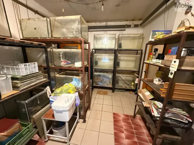 Prodej rodinného domu, Bělušice - Bedřichův Světec, 180 m2