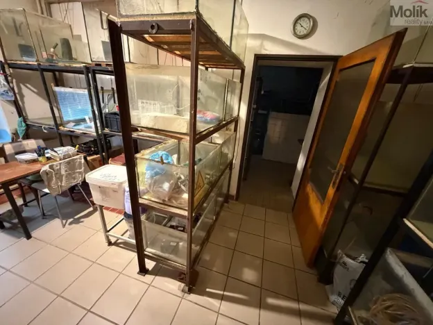 Prodej rodinného domu, Bělušice - Bedřichův Světec, 180 m2