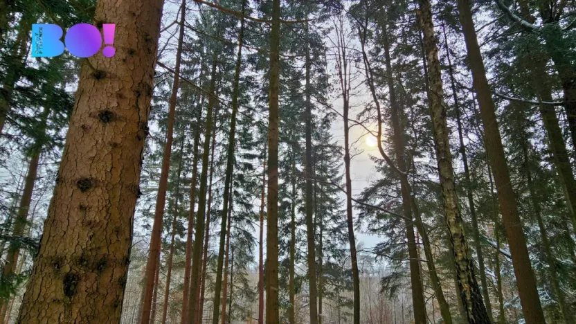 Prodej pozemku, Liptál, 17190 m2