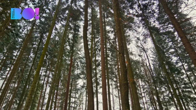 Prodej pozemku, Liptál, 17190 m2