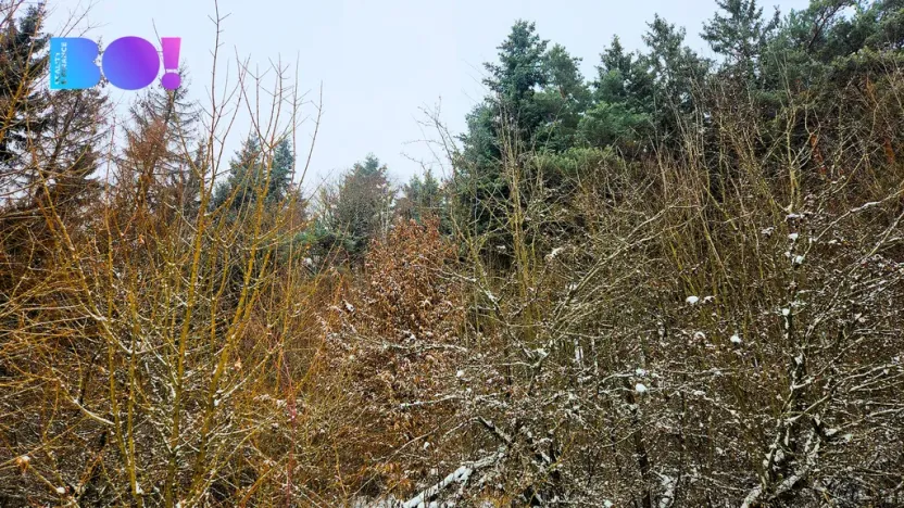 Prodej pozemku, Liptál, 17190 m2