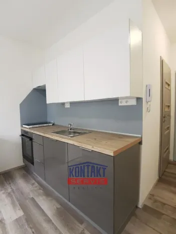 Pronájem bytu 1+kk, České Budějovice - České Budějovice 3, Plzeňská, 21 m2