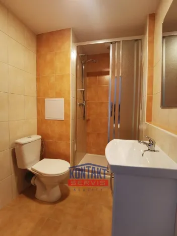 Pronájem bytu 1+kk, České Budějovice - České Budějovice 3, Plzeňská, 21 m2