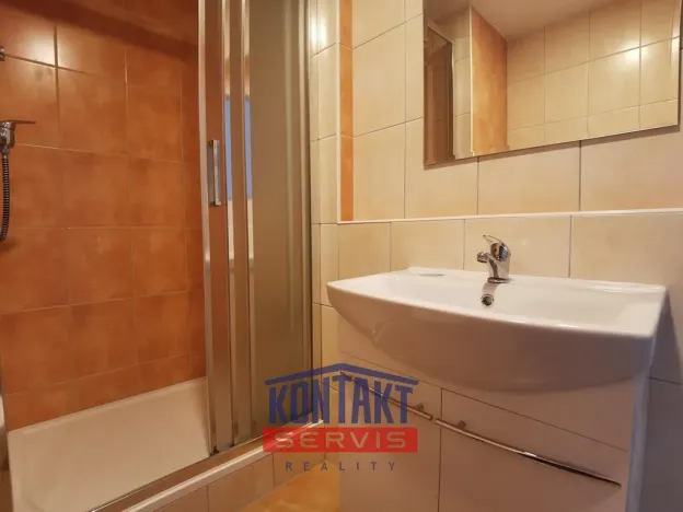 Pronájem bytu 1+kk, České Budějovice - České Budějovice 3, Plzeňská, 21 m2