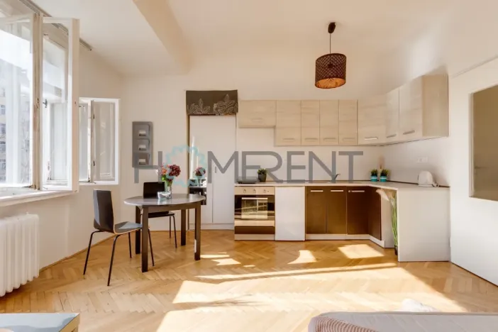 Pronájem bytu 1+kk, Praha - Nusle, Svatoslavova, 27 m2