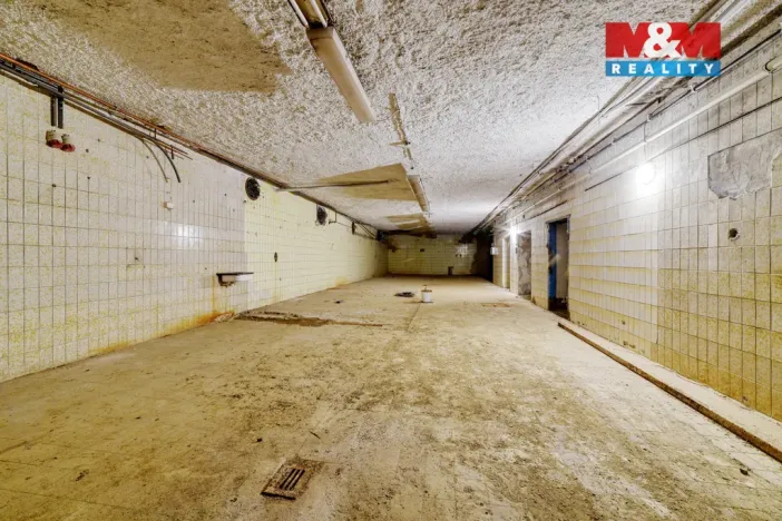 Prodej výrobních prostor, Mariánské Lázně - Úšovice, U Mlékárny, 1870 m2