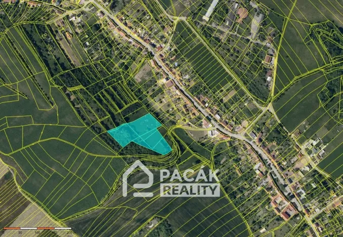 Prodej louky, Radslavice, 11368 m2