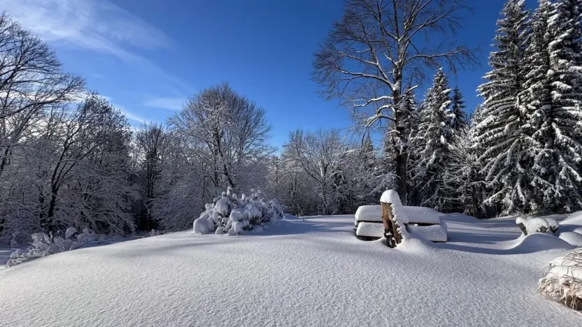 Prodej chaty, Kořenov - Polubný, 200 m2