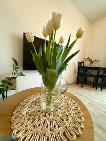 Pronájem bytu 1+kk, Lanškroun - Žichlínské Předměstí, Palackého, 37 m2