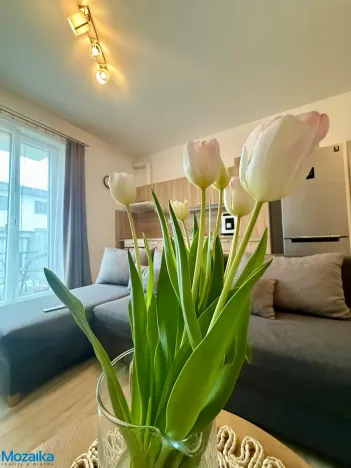 Pronájem bytu 1+kk, Lanškroun - Žichlínské Předměstí, Palackého, 37 m2