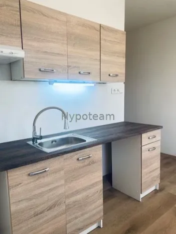 Pronájem bytu 1+kk, Ústí nad Labem - Severní Terasa, Větrná, 20 m2