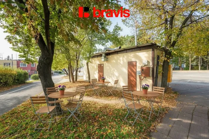 Prodej obchodního prostoru, Brno, Královopolská, 31 m2