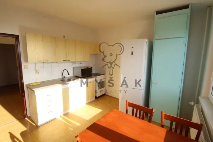 Prodej bytu 1+1, České Budějovice - České Budějovice 4, Rudolfovská tř., 46 m2