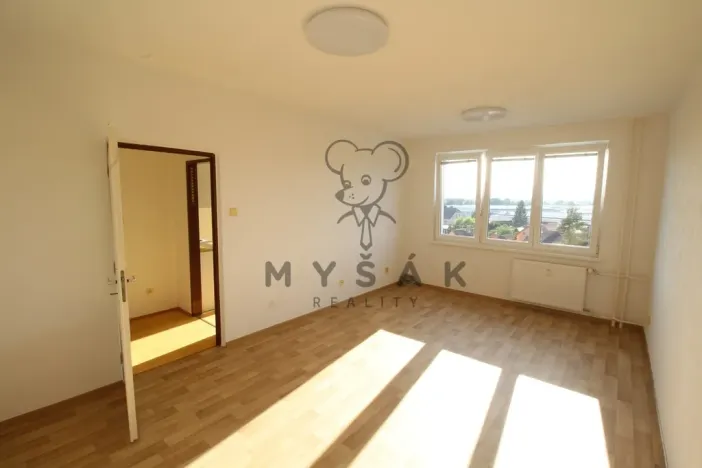 Prodej bytu 1+1, České Budějovice - České Budějovice 4, Rudolfovská tř., 46 m2