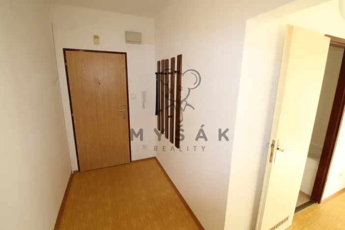 Prodej bytu 1+1, České Budějovice - České Budějovice 4, Rudolfovská tř., 46 m2