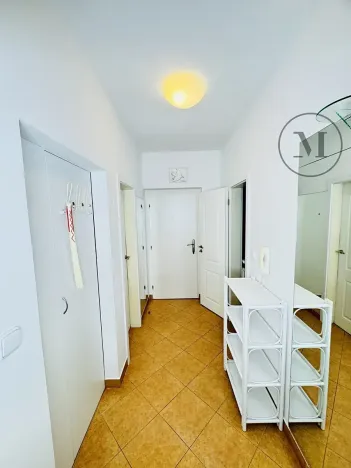 Pronájem bytu 1+1, České Budějovice, Riegrova, 55 m2