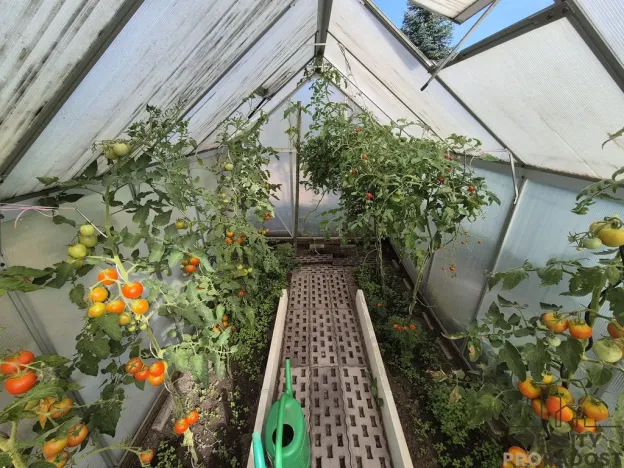 Prodej chaty, Třinec - Lyžbice, 15 m2