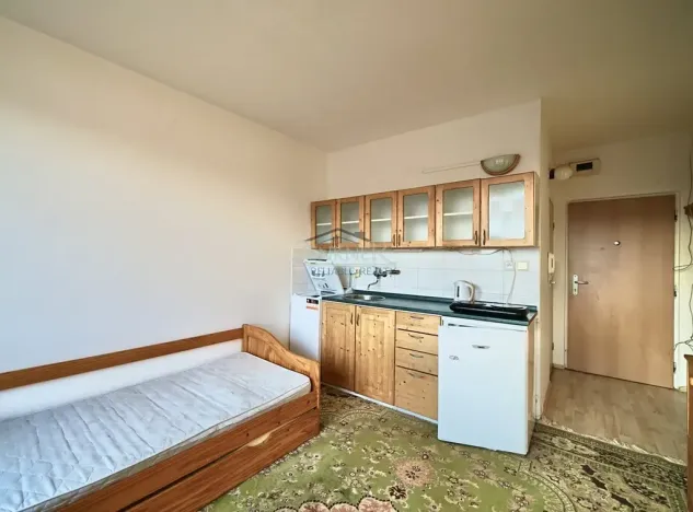 Pronájem bytu 1+kk, Říčany, U Olivovny, 20 m2