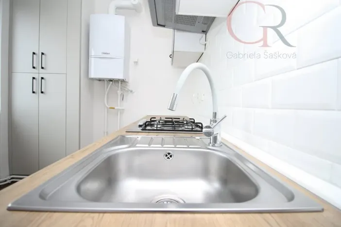 Prodej bytu 2+1, Plzeň - Východní Předměstí, Rychtaříkova, 51 m2