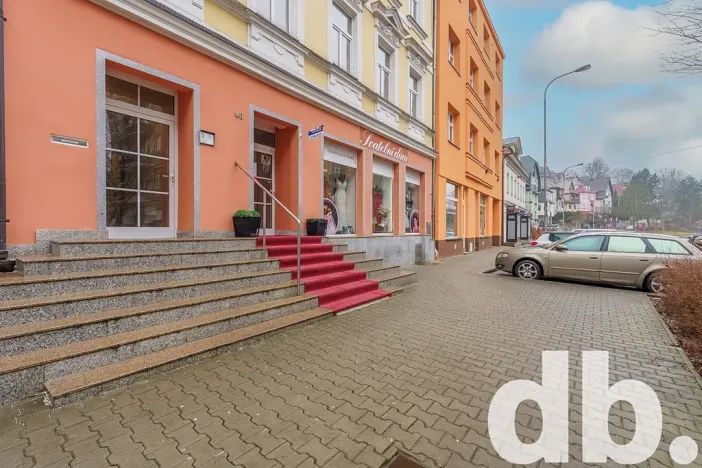 Pronájem bytu 2+1, Karlovy Vary, Vítězná, 54 m2