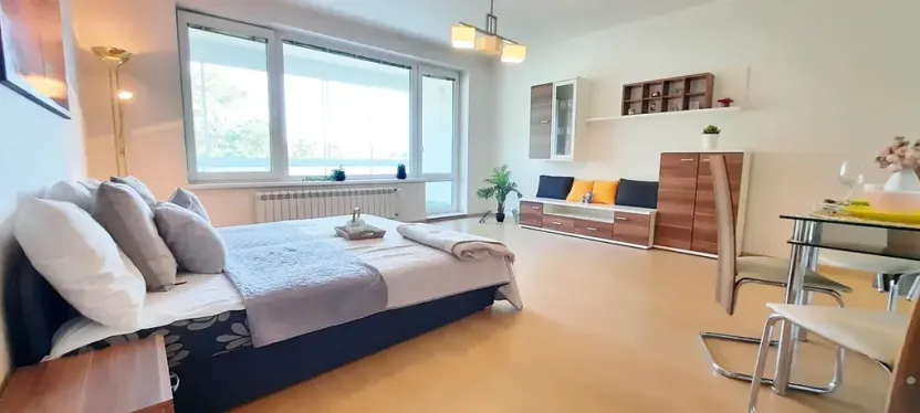 Pronájem bytu 1+kk, Brno, Šemberova, 48 m2