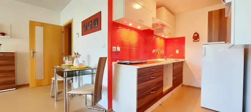 Pronájem bytu 1+kk, Brno, Šemberova, 48 m2