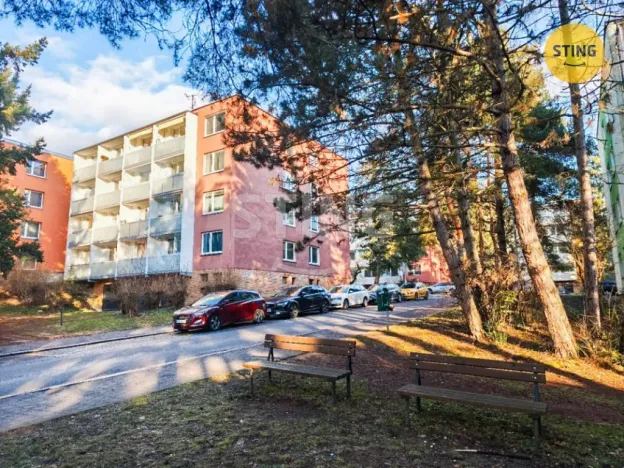 Prodej bytu 1+1, Brno, Foerstrova, 42 m2