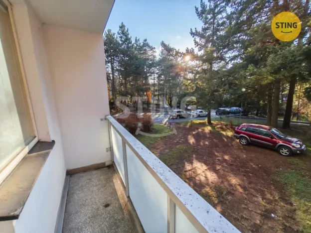 Prodej bytu 1+1, Brno, Foerstrova, 42 m2