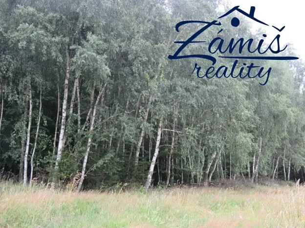 Prodej lesa, Pohledy, 7200 m2