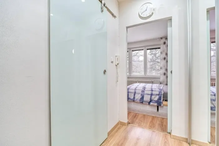 Pronájem bytu 1+kk, Orlová, Květinová, 31 m2