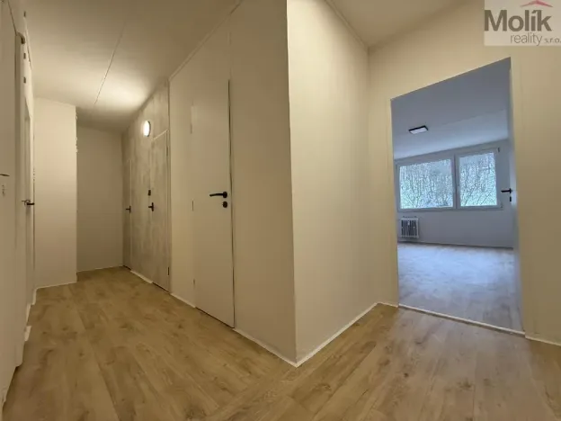 Pronájem bytu 3+1, Most, Josefa Suka, 68 m2