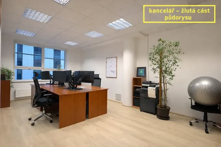 Pronájem kanceláře, Brno, Příkop, 226 m2