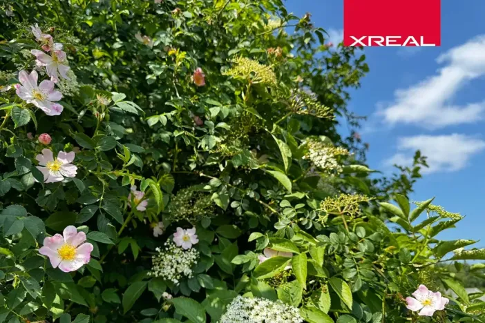 Prodej pozemku pro bydlení, Strančice, 1115 m2